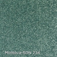 Montova-SDN 234